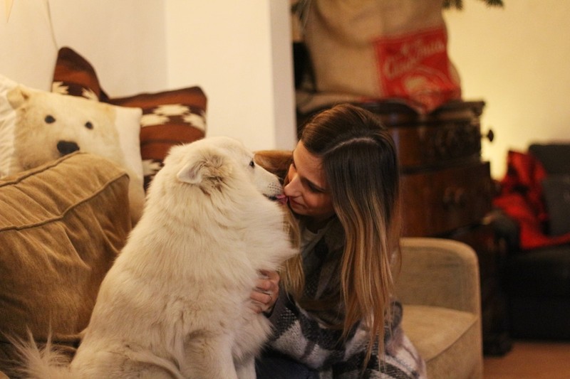 Dana Rogoz, pusă într-o situație delicată, în mijlocul străzii.
