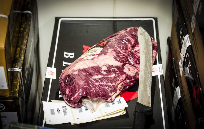Scandal alimentar de amploare în Italia. România este acuzată că exportă carne de cal contaminată!