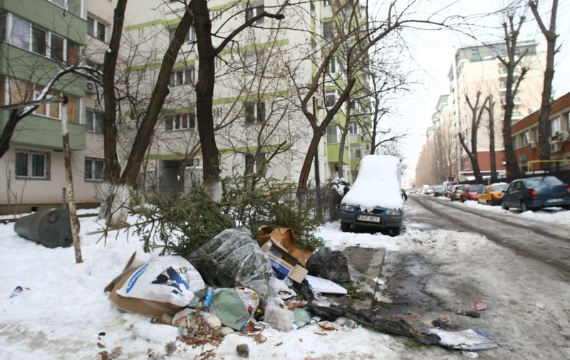 Pentru ca BUCUREȘTENII să nu mai ARUNCE BRAZII de CRĂCIUN la ÎNTÂMPLARE, autoritățile au AMENAJAT PUNCTE de COLECTARE!