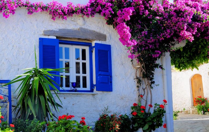 (P) Frumusețea sălbatică a insulei Corfu