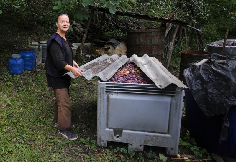 Cornelia ne arată prunele pregătite pentru ţuică