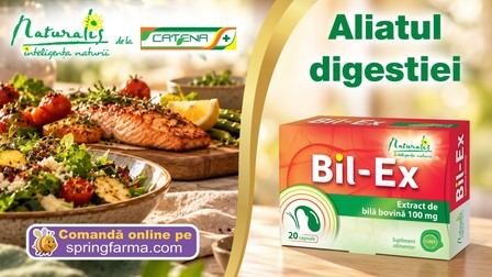 Foto: Bil-Ex Naturalis