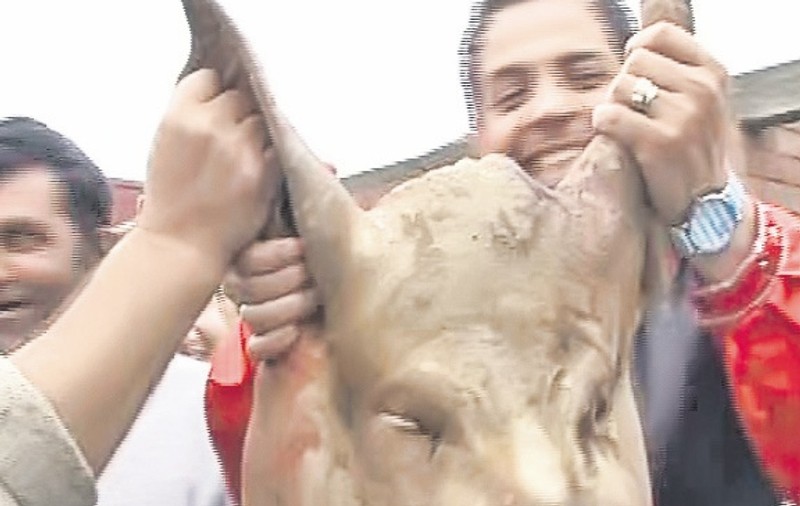 Jean a tăiat un porc la «Şatra»