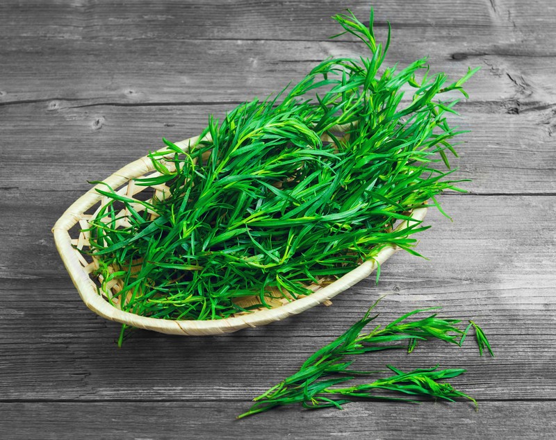 Tarhon - cum se consumă și ce beneficii are planta aromatică