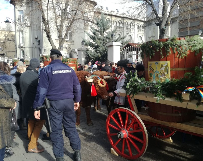 VIDEO: Peste 10.000 de oameni s-au călcat în picioare pentru agheasmă, la Constanța. În loc de gerul Bobotezei, o vreme de primăvară