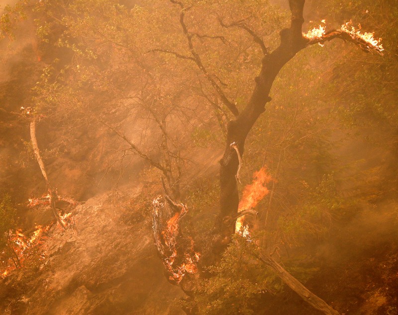 Incendiul uriaș din California creează propriul climat. Cu ce se luptă peste 5.400 de pompieri americani