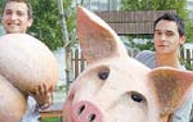 Razvan si Dani 'zboara' cu porcul in rau