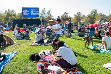 People and their dogs attend the Guinness World Record Breaking Screening in support of "PAW Patrol: The Mighty Movie" at the Autry Museum of the American West on September 24, 2023, in Los Angeles,California Paramount Pictures and Best Friends broke the Guinness World Record for the "most dogs attending a film screening" with 219 dogs attending.,Image: 808171802, License: Rights-managed, Restrictions: , Model Release: no