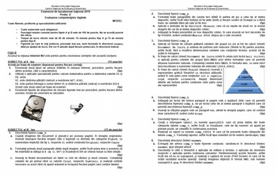 Subiecte BAC 2019 - Evaluarea competențelor digitale - Proba orală - Fișa B