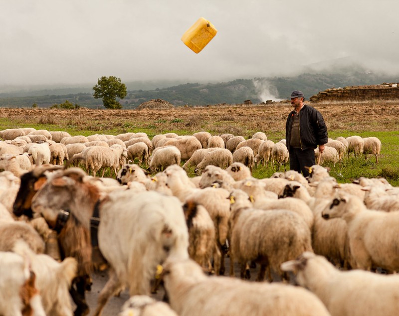 Transhumanța tocmai a intrat în patrimoniul UNESCO. Dar transhumanța, ca o proastă, tocmai a murit din cauza UE