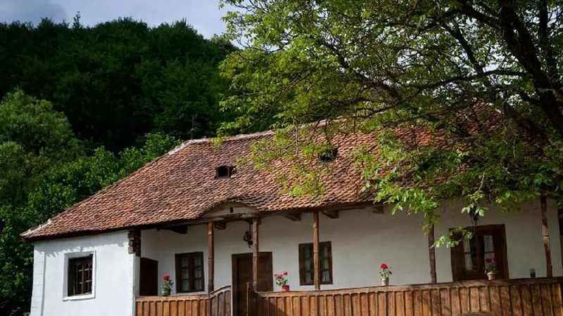 Arhiva foto