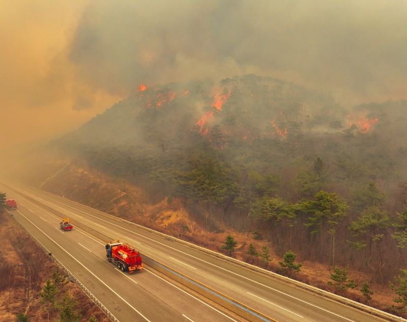 Incendii puternice de vegetație în Coreea de Sud. Cel puțin 18 oameni au murit și 19 au fost răniți