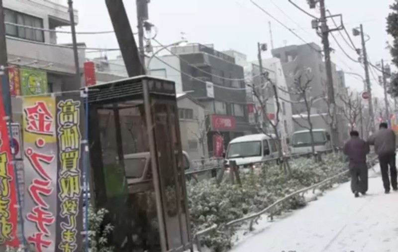 Cea mai mare FURTUNĂ DE ZĂPADĂ din ultima jumătate de secol, la Tokyo! BILANŢ SUMBRU: 11 MORŢI ŞI 1.250 DE RĂNIŢI