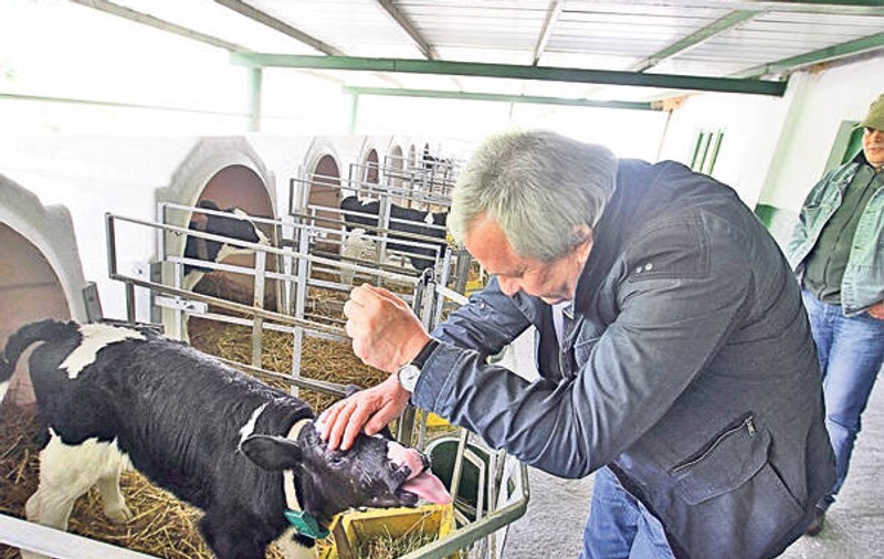 Sute de milioane de euro pentru investiţii în ferme
