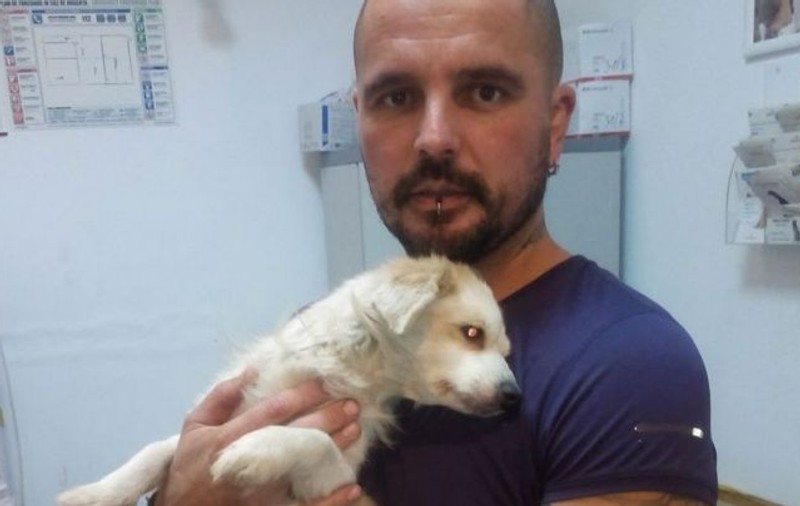 Povestea românului înconjurat de câini și cu o pisică pe umăr, în parc. Are 46 de câini și 4 pisici!
