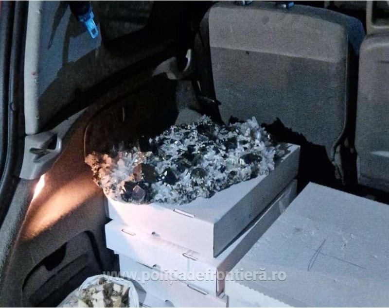 Flori de mină în valoare de peste 20.000 de euro, confiscate la granița cu Ungaria