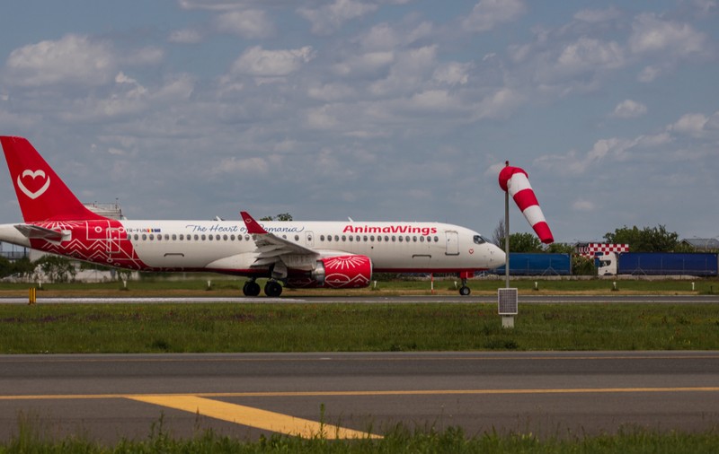 Un avion Animawings pe pista unui aeroport