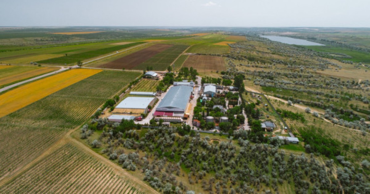 Arhiva foto