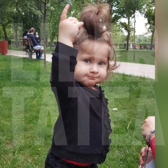 Arhiva foto