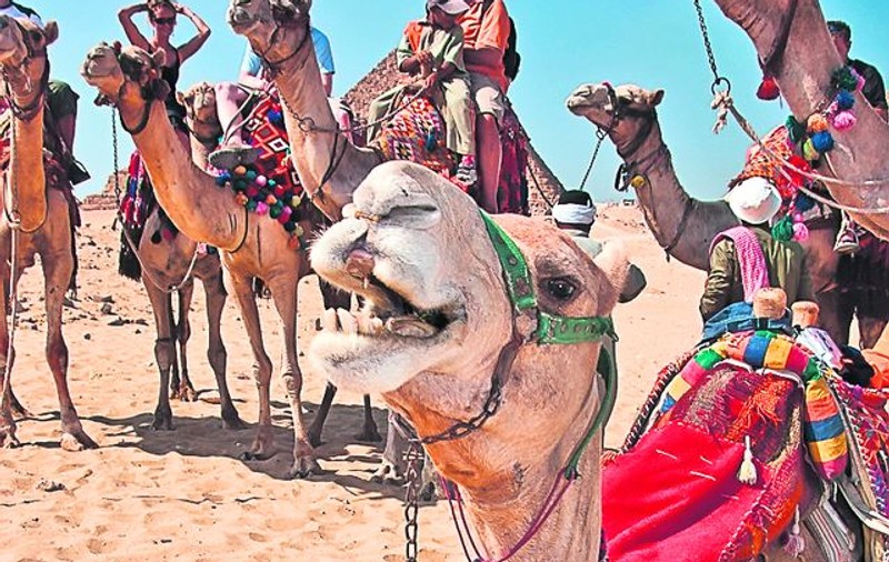 E cod portocaliu, iar România «fierbe» la 42° C. Azi e mai cald la noi decât în Sahara!