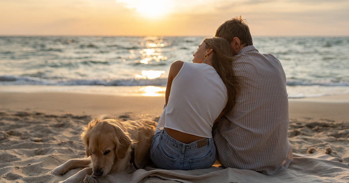 cuplu de tineri bărbat și femeie stând pe o plajă jucându-se cu golden retriever câine pe apus de soare zâmbind fericit distrându-se împreună, familie de vacanță la mare cu animal de companie