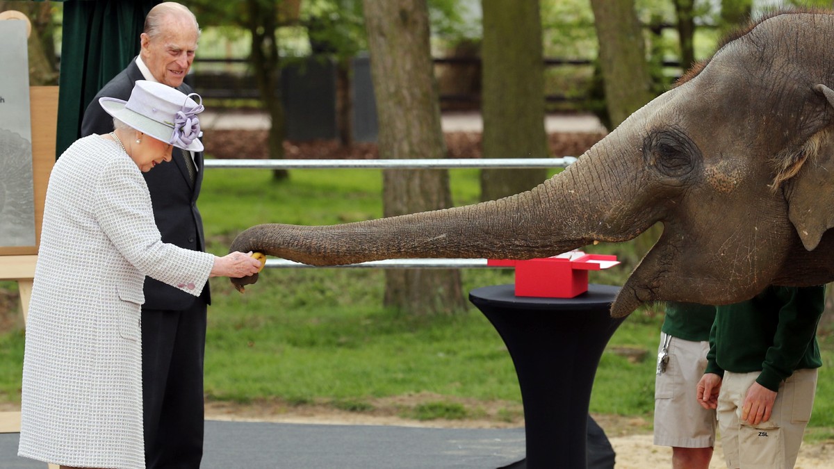 Regina Elisabeta a II-a hrănește un elefant