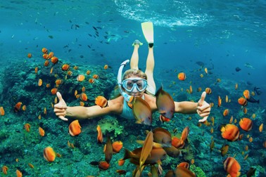 Snorkeling printre corali și pești