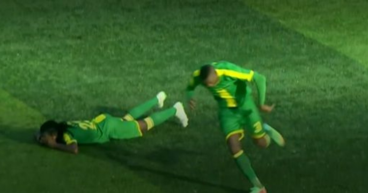 VIDEO | Meci de fotbal, întrerupt de albine în Tanzania. Jucătorii și fanii au fost atacați de insecte