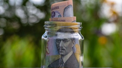 bancnote-50-10-lei-borcan