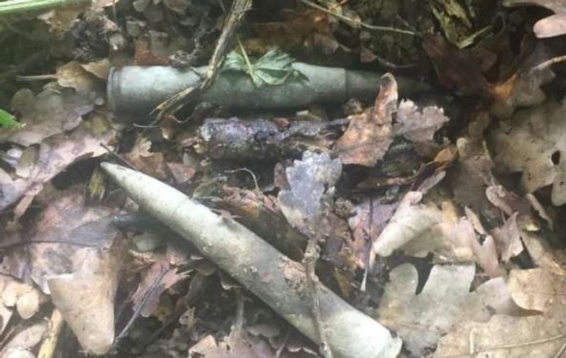 Două proiectile au fost descoperite de un participant la un festival de tradiţii populare din Alba
