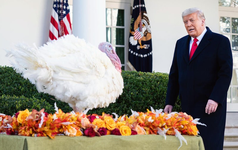 Donald Trump a graţiat un curcan de Ziua Recunoştinţei. Dintre Corn şi Cob, liderul de la Casa Albă l-a ales pe Corn
