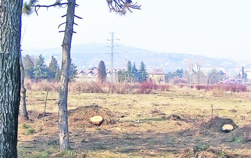 Ăsta e locul defrișat de Paszkany
