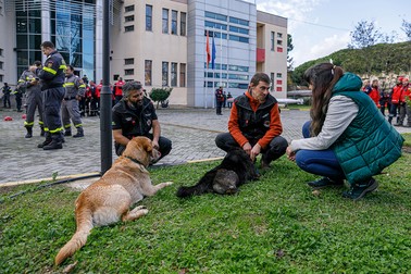 Romică Chințoi și Billy (stânga) și Vlad Popescu și Challapa (centru), în baza militară din Durres, Albania, după cutremurul din 2019. În dreapta, reporterul Libertatea | Foto: Eli Driu