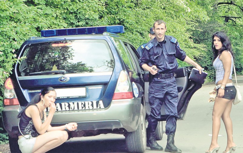 "Decât să facem puşcărie, mai bine îngrijim câini"