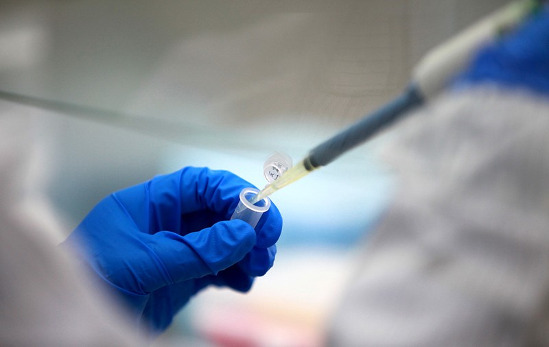 Câinele unui pacient cu coronavirus a ieșit pozitiv pentru un „nivel scăzut” al virusului