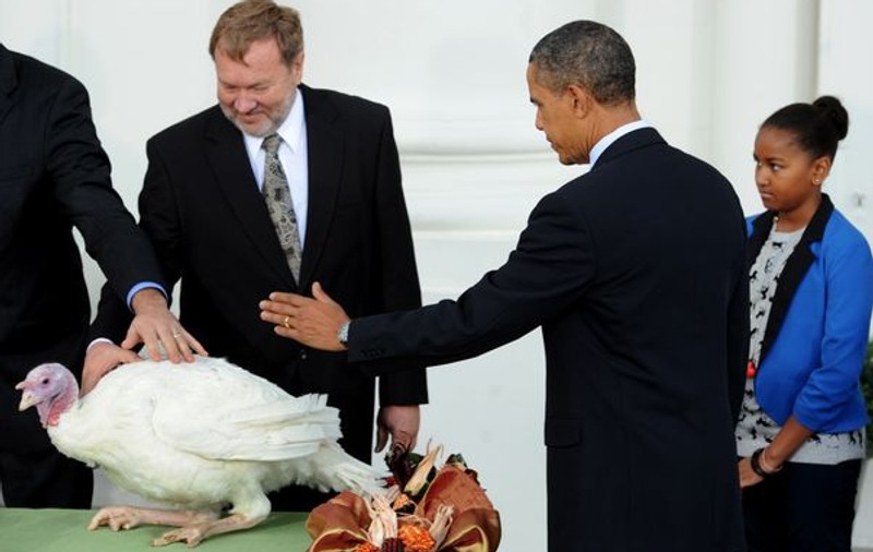 Obama a grațiat doi curcani: ”Sunt cele mai norocoase păsări din lume” | FOTO