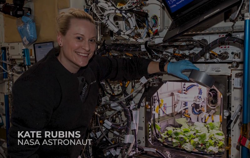 VIDEO | Prima recoltă de ridichi din spațiu, crescută de un astronaut NASA