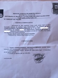 Ce au observat medicii legiști: leziuni traumatice, care s-au putut produce prin lovire cu corp dur, 1-2 zile de îngrijiri medicale