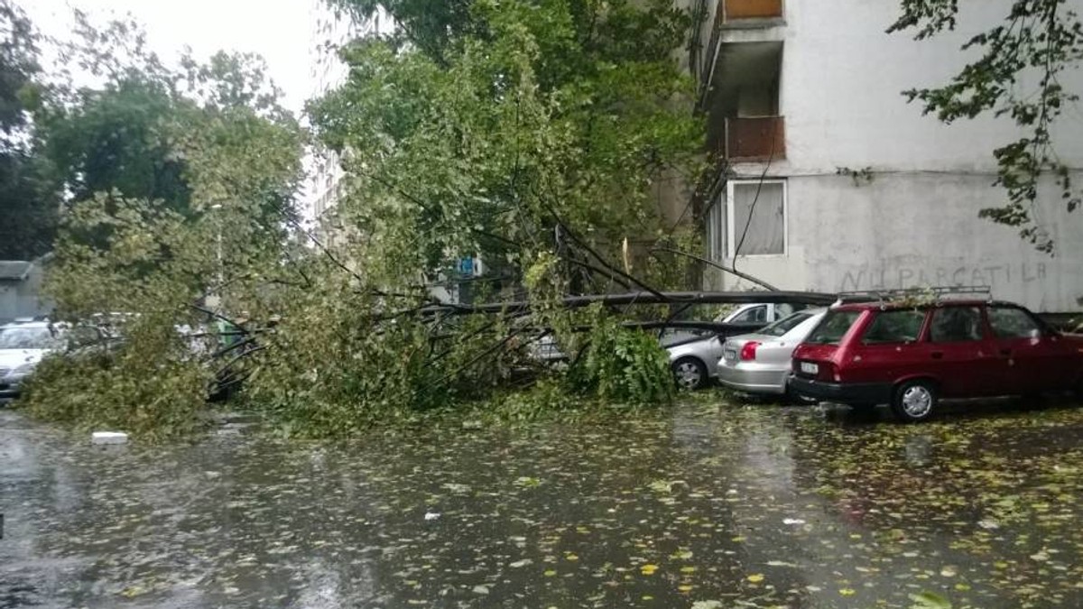 Arhiva foto