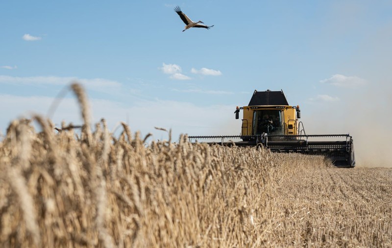 Fermierii români cer verificarea cerealelor din Ucraina care tranzitează Republica Moldova şi intră ulterior pe teritoriul României