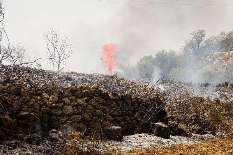 Localnicii spun că mafia nu are cum să fie străină de incendiile puse internționat.