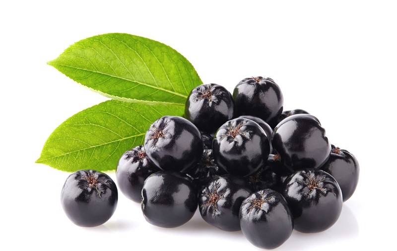 Fructele aronia - proprietăți și beneficii. Cum se consumă
