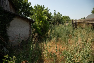 În curtea lui Gheorghe Dincă s-au înmulţit buruienile