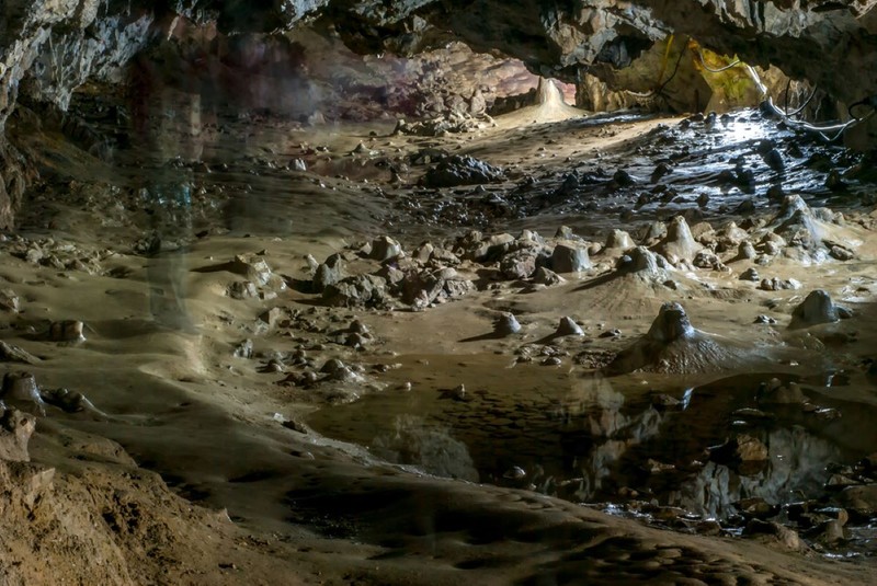 Arhiva foto