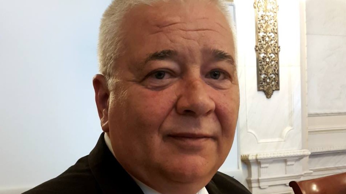 Marius Nicoara, PNL