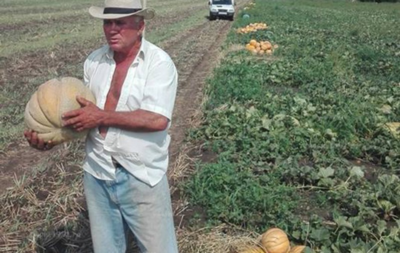 Agricultor din Vaslui a fost amendat pentru că are pepeni mari