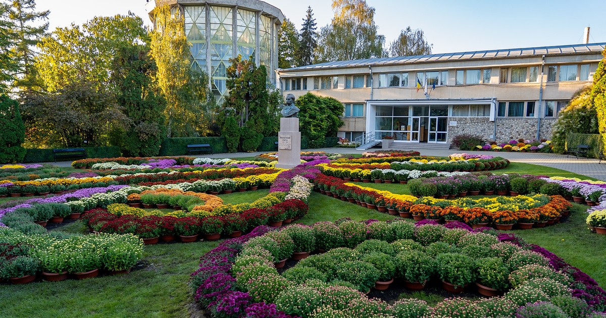 Cea mai așteptată expoziție de flori de toamnă s-a deschis în Grădina Botanică din Iași Sursă: Facebook/La Iași
