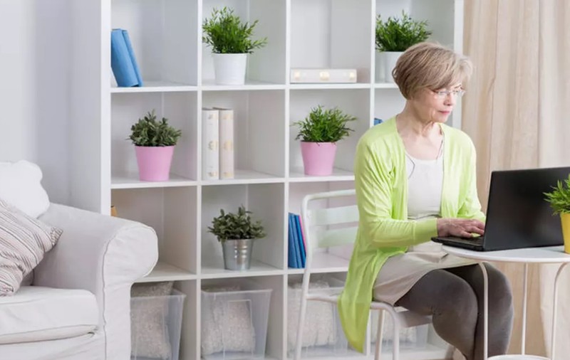 Plante de apartament care purifică aerul din locuința ta
