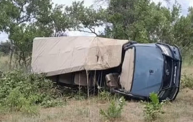 O turistă americană a murit și alți cinci oameni au fost răniți, după ce un elefant de 5 tone a răsturnat o camionetă de safari, în Zambia