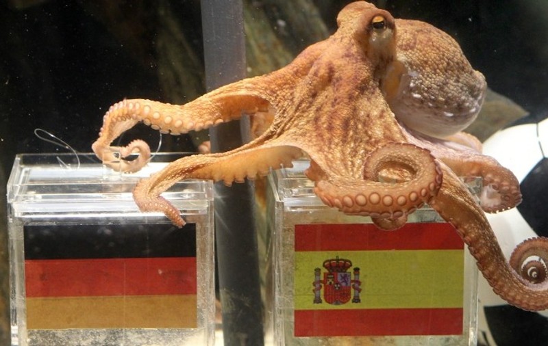 Un patron de restaurante spaniol scoate caracatiţa din meniu, din respect pentru Paul